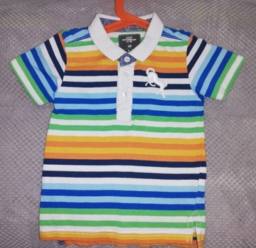 Polówka H&M koszulka polo dla chłopca, kolorowa 
