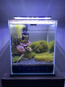 Akwarium Aquael 30l Zestaw Pełne Wyposażenie