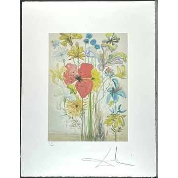 Salvador Dali - Letnie kwiaty - litografia