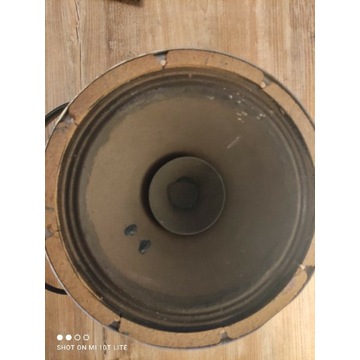 Głośnik szerokopasmowy Philips 30 cm
