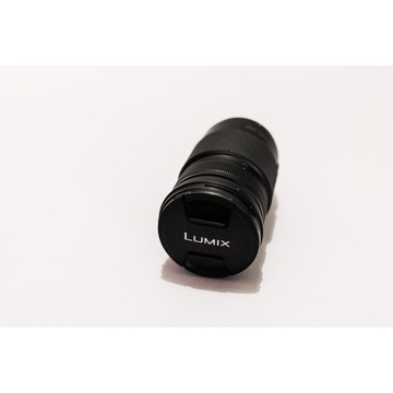 Panasonic LUMIX G VARIO 100-300 mm f/4.0-5.6 II