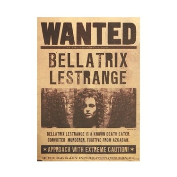 Bellatrix Lestrange Plakat Harry Potter 52x27 