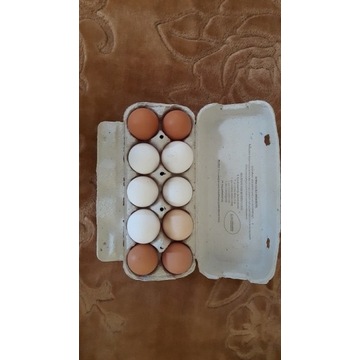 Jajka Wiejskie (100szt.)