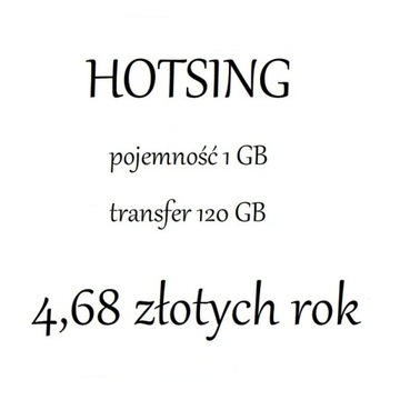 Hosting 1 / 120 GB / rok
