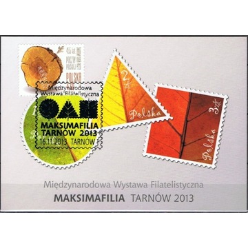 MWF Maksimafilia - 16-11-2013 Tarnów 