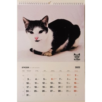 Kalendarz charytatywny 2022 - Koty 