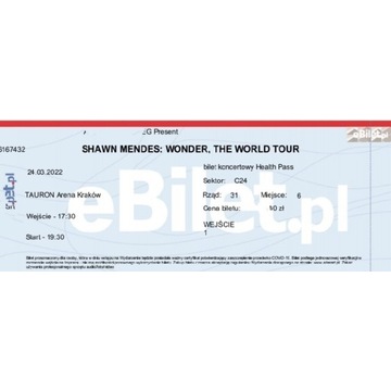 Bilet na koncert Shawna Mendesa w Tauron Arena.