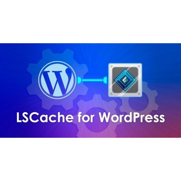 Hosting strony www WordPress Premium domena SSL FV
