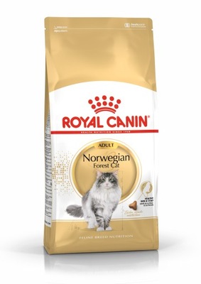 Sucha karma dla kota Royal Canin Norwegian Forest Cat Adult 10 kg