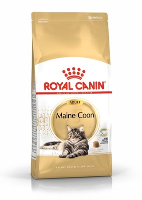 Royal Canin Maine Coon 10kg sucha karma dla kotów
