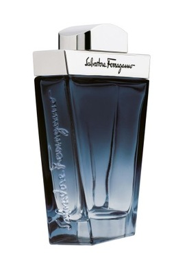 Salvatore Ferragamo Subtil Pour Homme edt 100ml