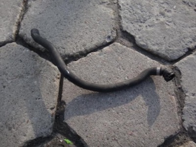 Шланг патрубок труба води водяний bmw 7 e65 735 745 фото №1