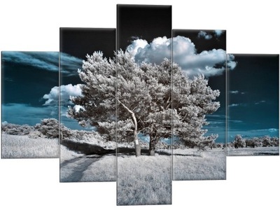 Obraz Tryptyk Drzewo 150x105 Drzewa Las Tryptyki