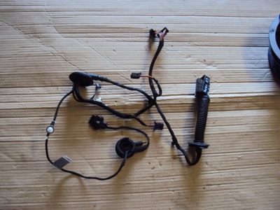 Електропроводка двері правий задня audi a4 b8 kombi фото №1