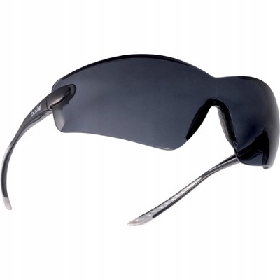 Bolle Safety Okulary Ochronne COBRA Smoke COBPSF