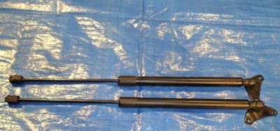 Vw tiguan амортизатори кришки задній комплект оригінал фото №1