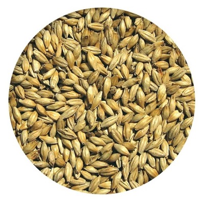 Słód jęczmienny PALE ALE ZERO Viking Malt 1kg