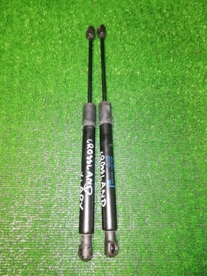 Opel crossland x амортизаторы амортизаторы крышки фото №1