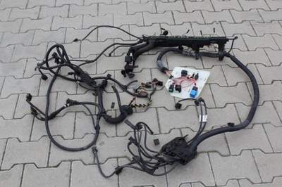 BMW F10 JUEGO DE CABLES DEL MOTOR 523I N53B30 N53 TRANSMISIÓN AUTOMÁTICA  