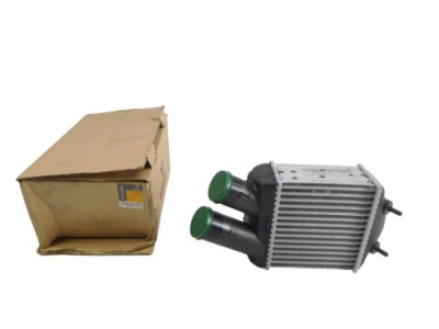 Радиатор воздуха интеркулер renault 8200175069 фото №1