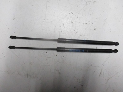 Привід кришки амортизатор renault scenic 4 iv фото №1