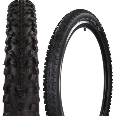 Schwalbe Black Jack 20 X 1.9