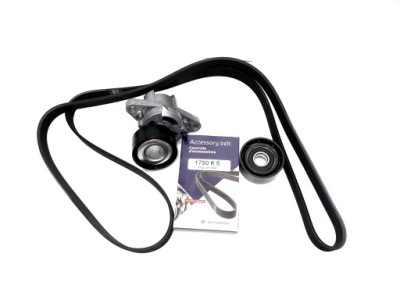 Натяжитель ремень генератора 1.4 1.6 16v megane 1 фото №1