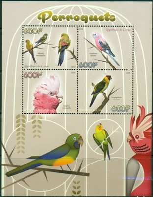 Papugi papuga ptaki fauna Kongo ark. ** #CON1453