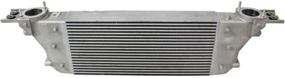 INTERCOOLER NISSAN NAVARA D40 PATHFINDER R51 3.0 DCI 144615X20A A44615X20B  