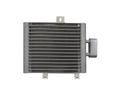 Радіатор оливи mercedes s-klasa w220 a2155000000 фото №1