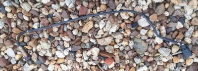 Audi a6 c6 датчик лямбда-зонд 079906265a 4,2 fsi фото №1