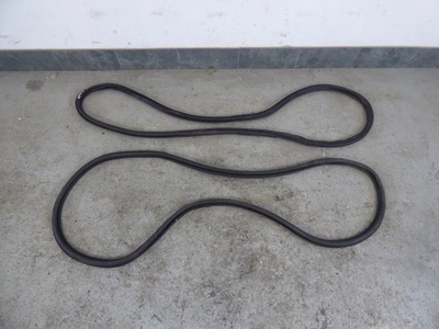 Прокладка кузовна двері ліва права задня rapid фото №1