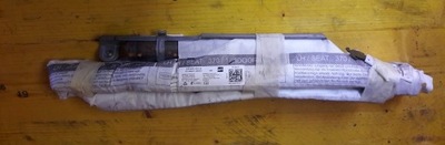 CORTINA DE AIRE IZQUIERDA SEAT LEON 3 5F3880741 3D  