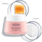 Vichy Neovadiol Rose Platinium 50ml