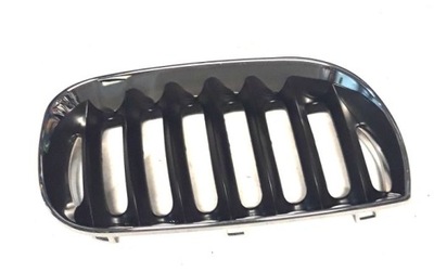 Решітка радіатора bmw x3 e83 фото №1