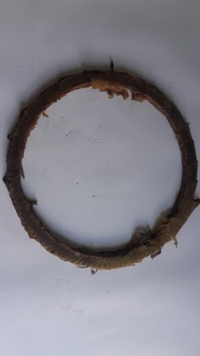 Kamaz вінець колеса маховика lublin фото №1