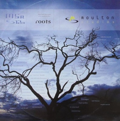 Jay-J & Chris Lum Roots 12'' EX