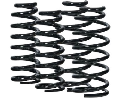 Efs пружины перед задняя nissan patrol y60y61 +2''+3 фото №1