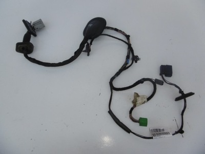 Джгут двері лівий задня range rover sport l320 фото №1