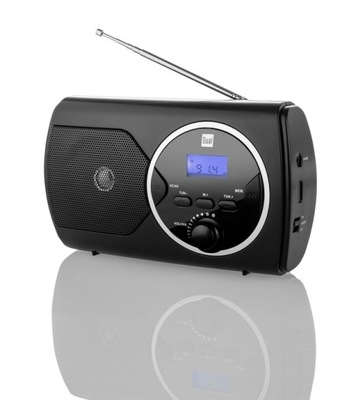 Radio DUAL P10