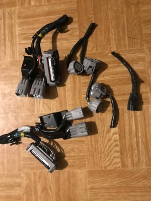 Lexus штекер лампа колодка is nx rx gs 13-19 фото №1