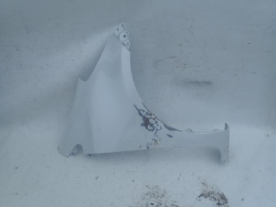 Global EU autoteile, Karosserie, Kotflügel, TOYOTA IQ 08  