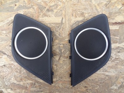 Защита динамика bang olufsen audi a5 s5 фото №1