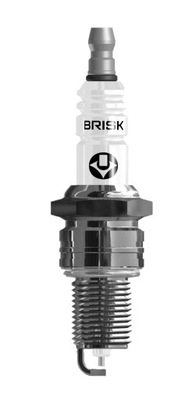 PLUG BRISK SILVER LR14YS 1353  