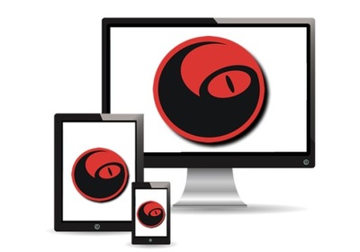 STRONA INTERNETOWA WWW SSL RWD POZYCJONOWANIE CMS