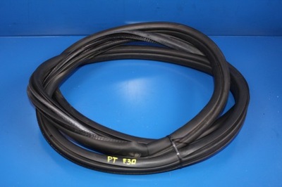 Bmw 3 f30 sedan прокладка двері правий задня фото №1