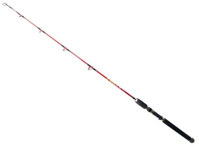 Wędzisko Wędka MORSKA Monster Jig 165 cm. 80-120gr