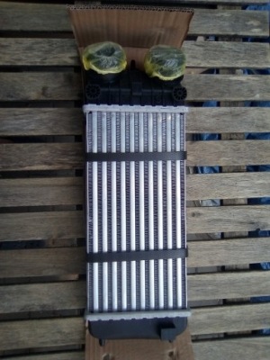 Citroen c3 ii інтеркулер 1.6 hdi фото №1