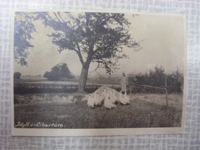 FOTOGRAFIA LIBERTÓW ok. 1915