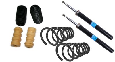 Амортизатори пружини задня hyundai santa fe i фото №1